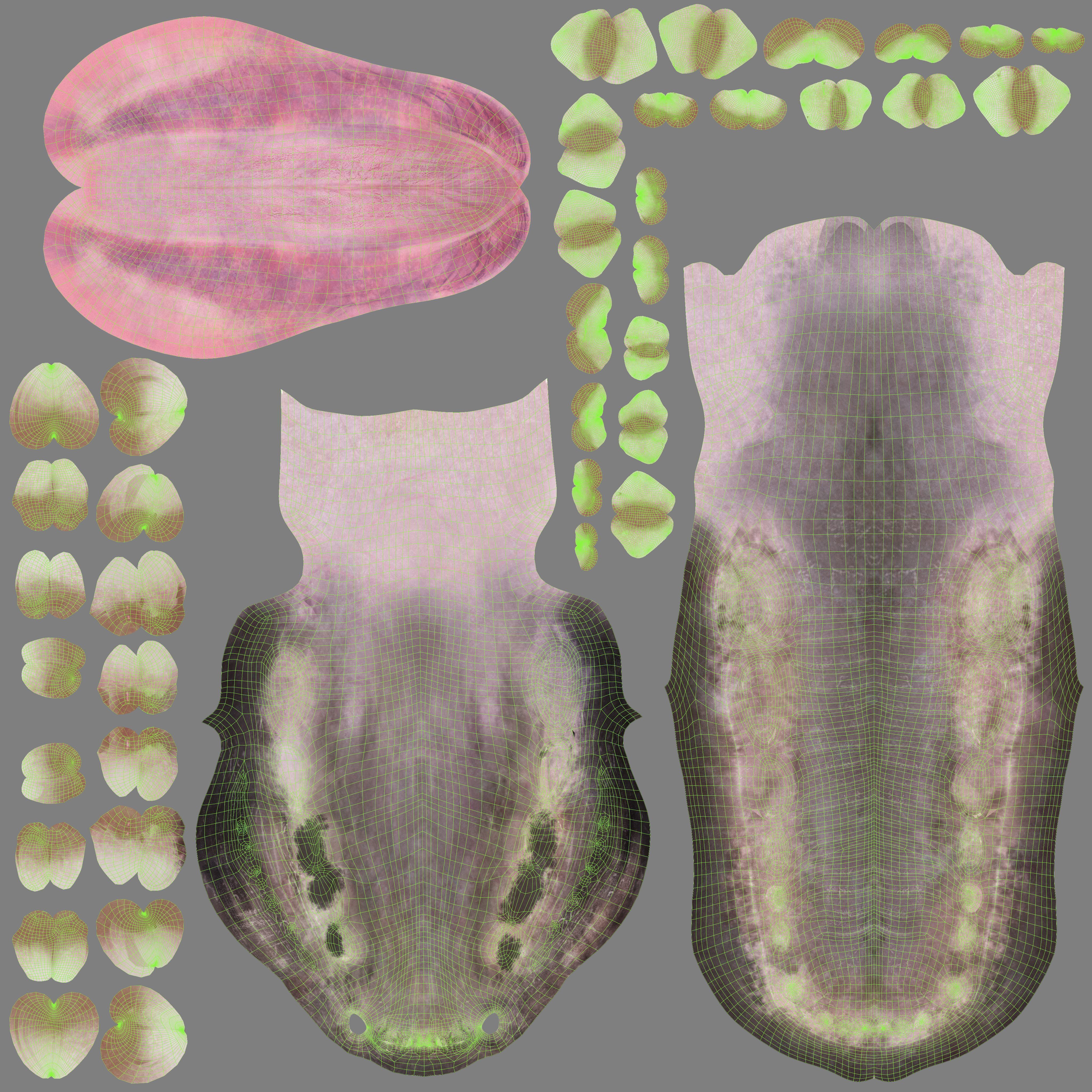 German Shepherd Animated 3D model_21