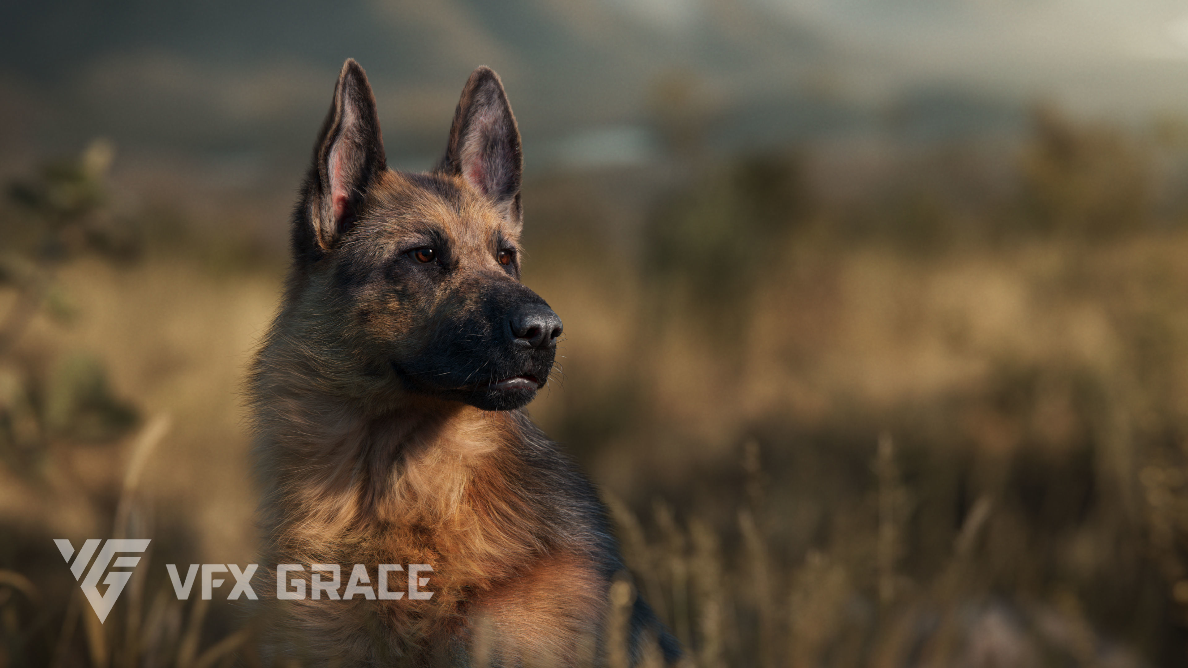 German Shepherd Animated 3D model_4