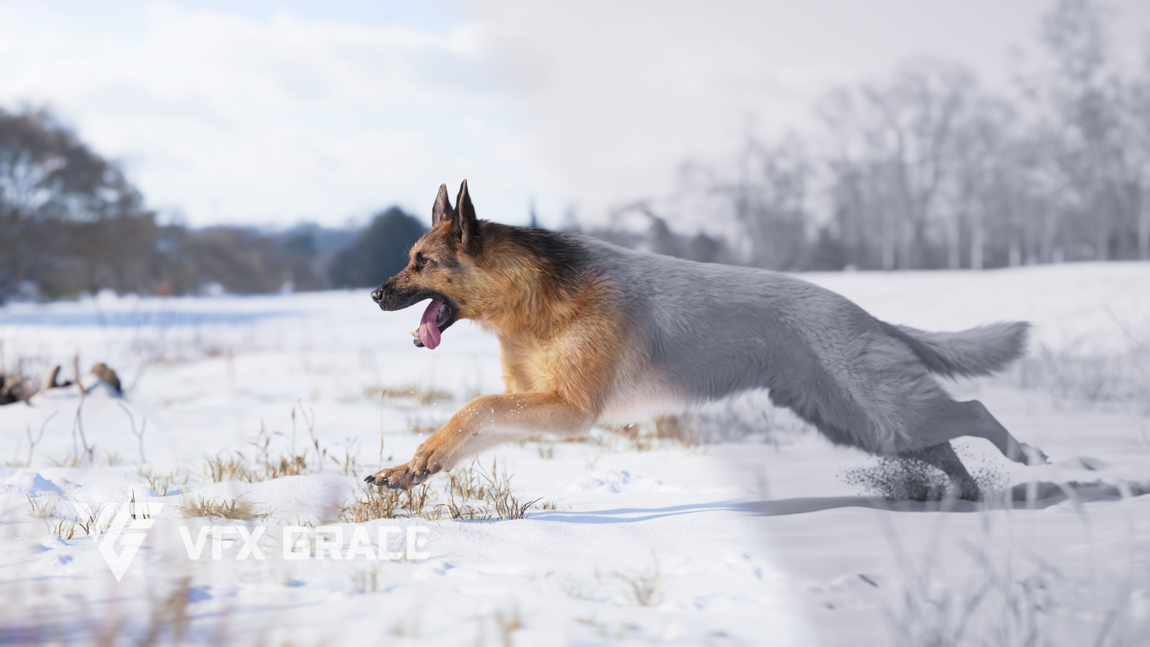 German Shepherd Animated 3D model_3