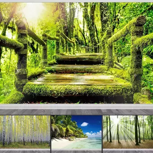 Photo Wallpaper No 11