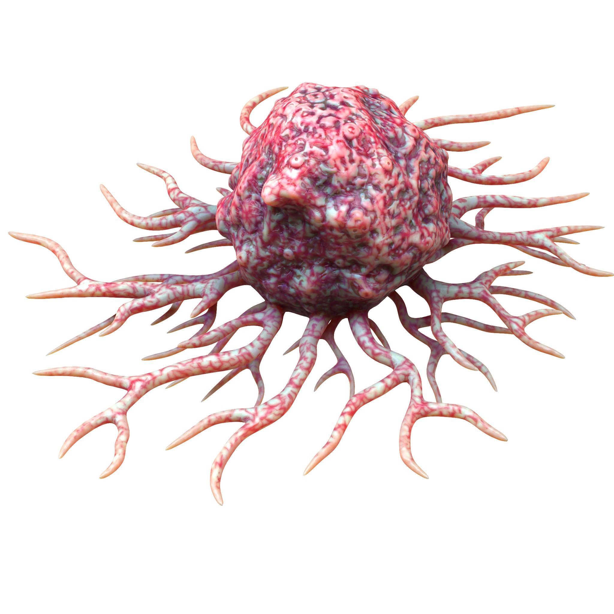 Cancer Cell 3D model_1