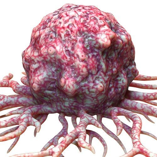 Cancer Cell 3D model