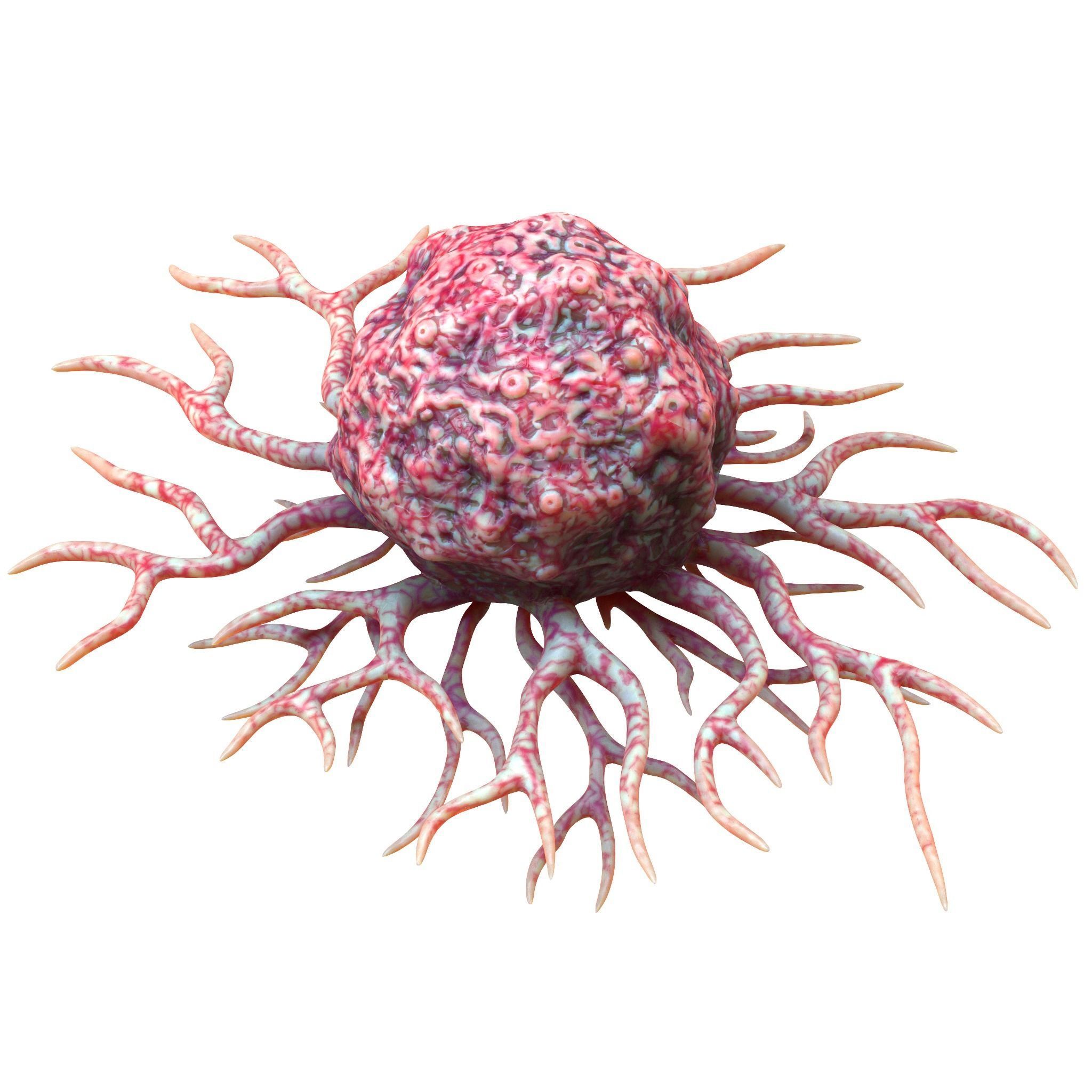 Cancer Cell 3D model_2