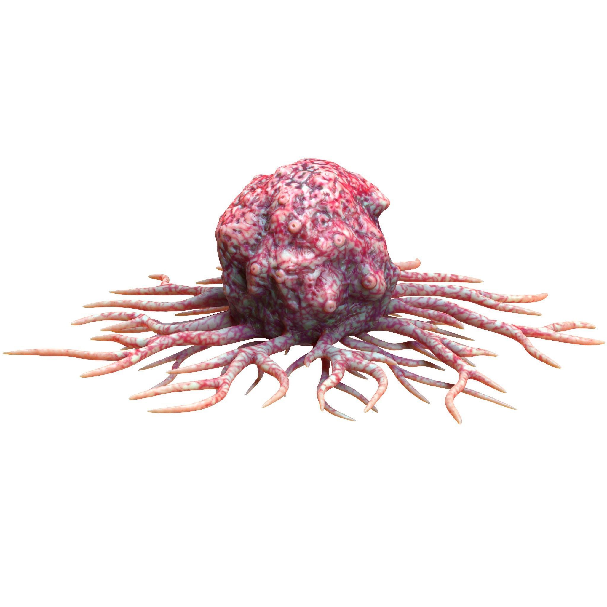 Cancer Cell 3D model_4