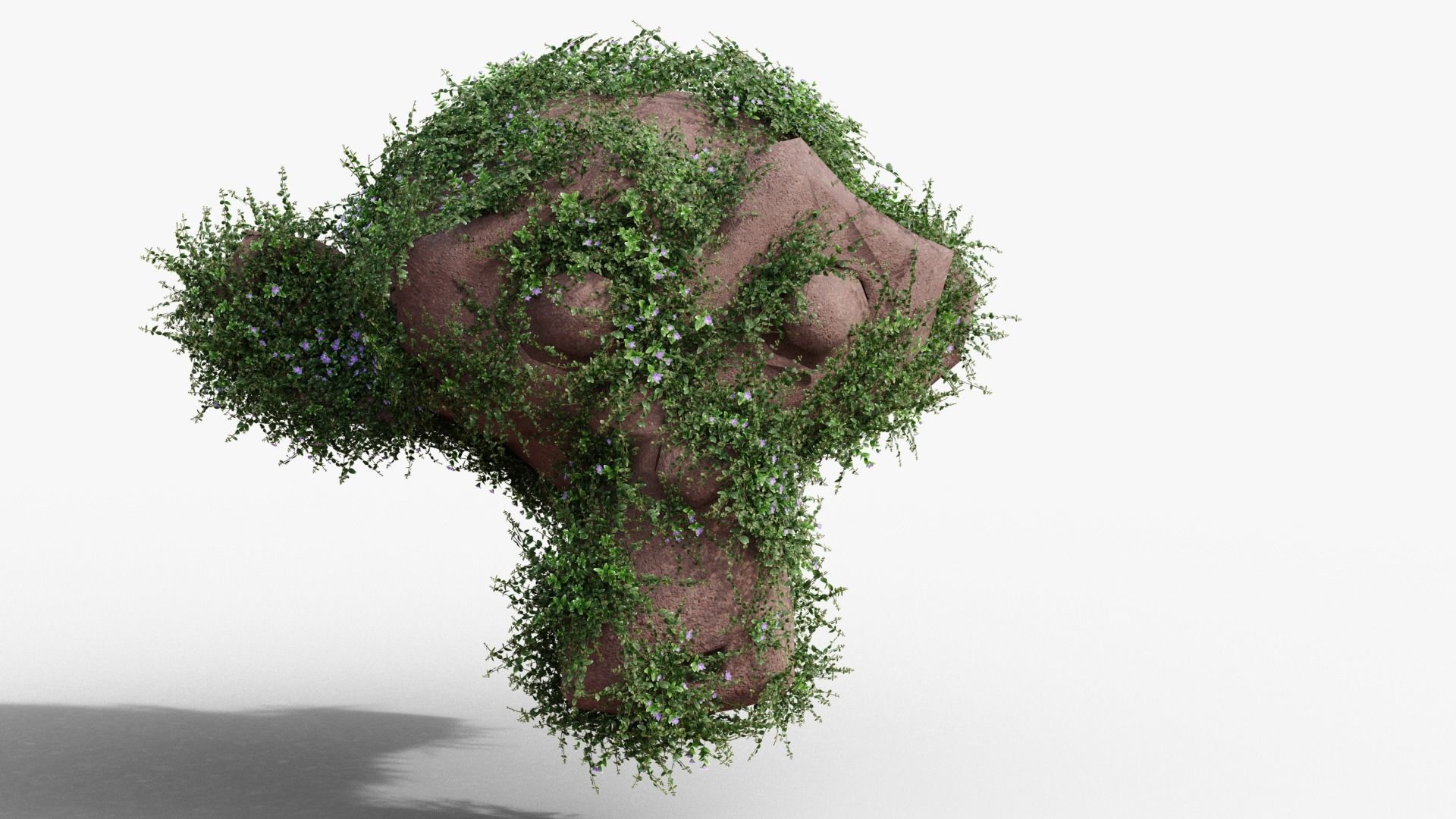 Vinca minor 3D model_8