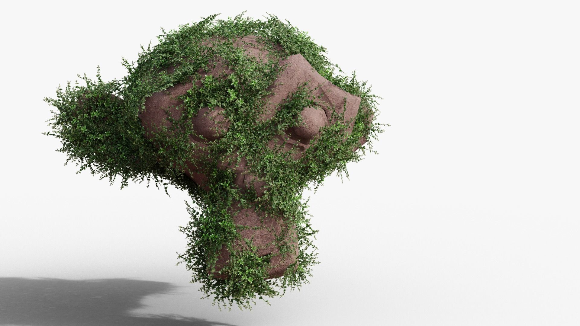 Vinca minor 3D model_3