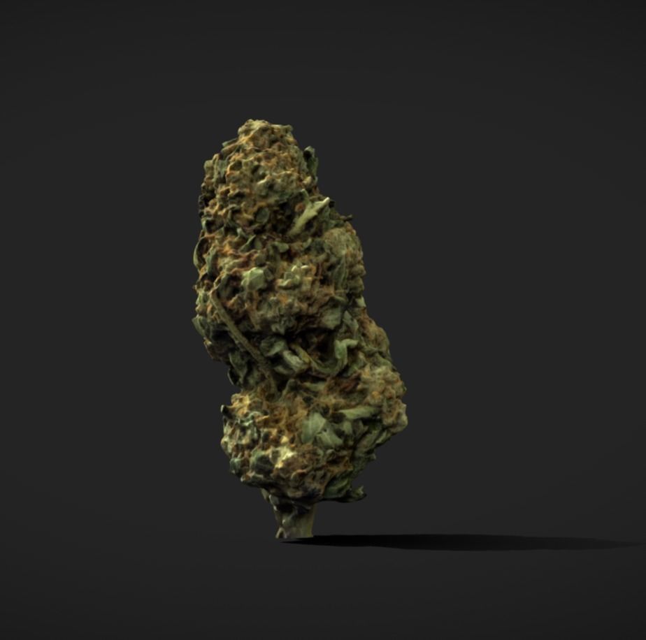 Cannabis Weed Bud Scan 2 Low-poly 3D model_2