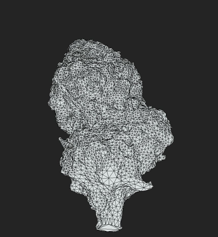 Cannabis Weed Bud Scan 2 Low-poly 3D model_4