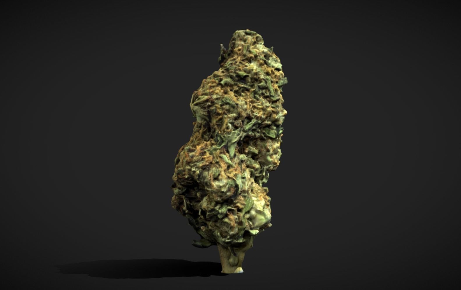 Cannabis Weed Bud Scan 2 Low-poly 3D model_1