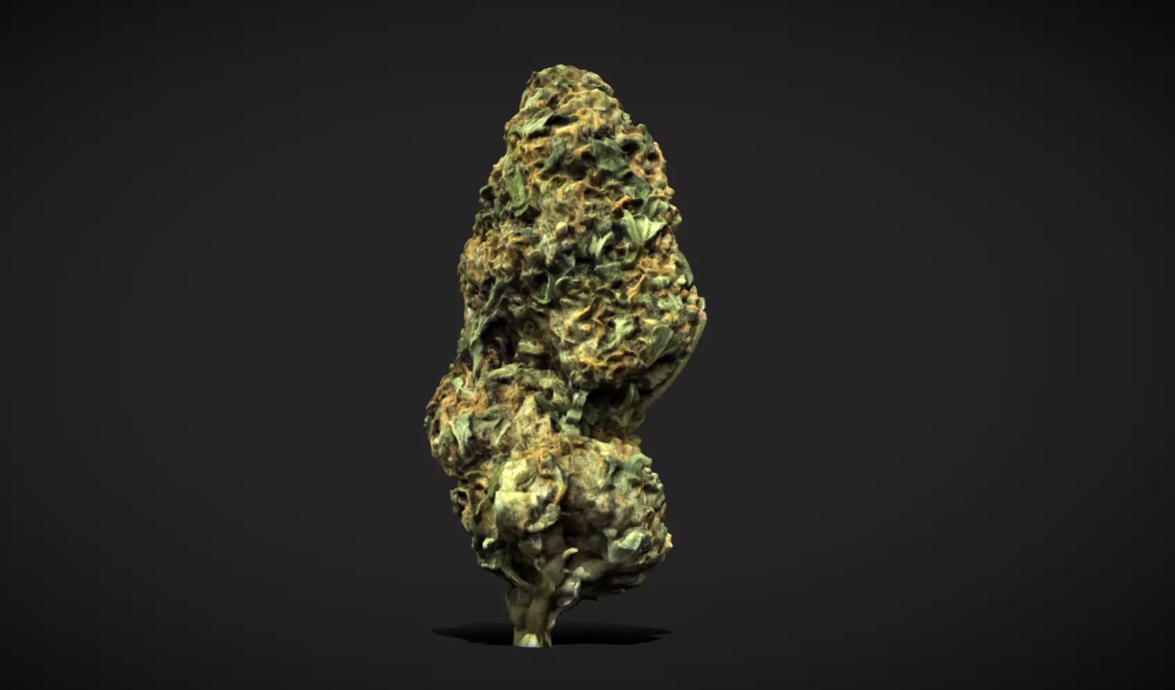 Cannabis Weed Bud Scan 2 Low-poly 3D model_0