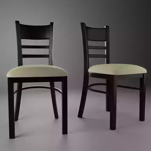 Dining chair with leather cushion seat