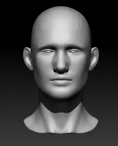 Male Head 3D model