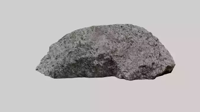 Whitish forest stone