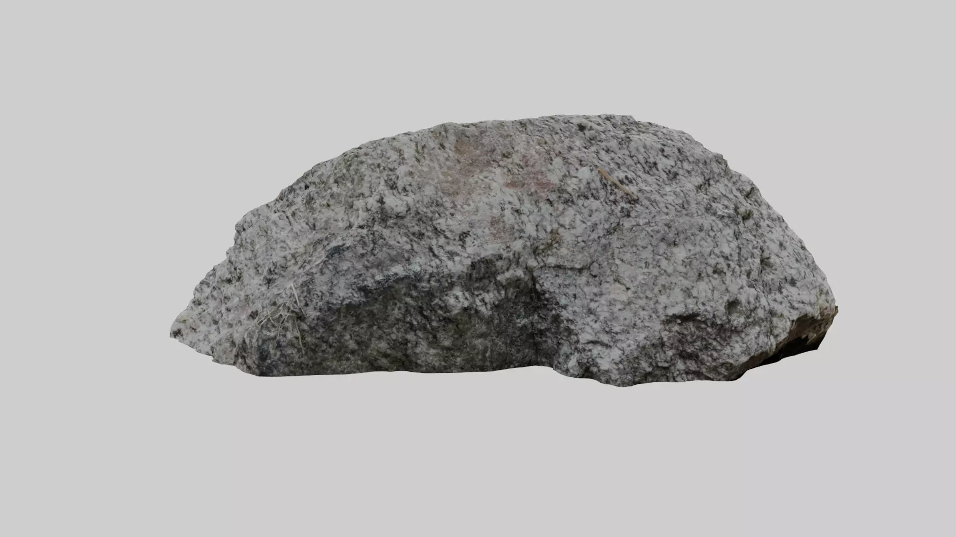 Whitish forest stone 3D model_0