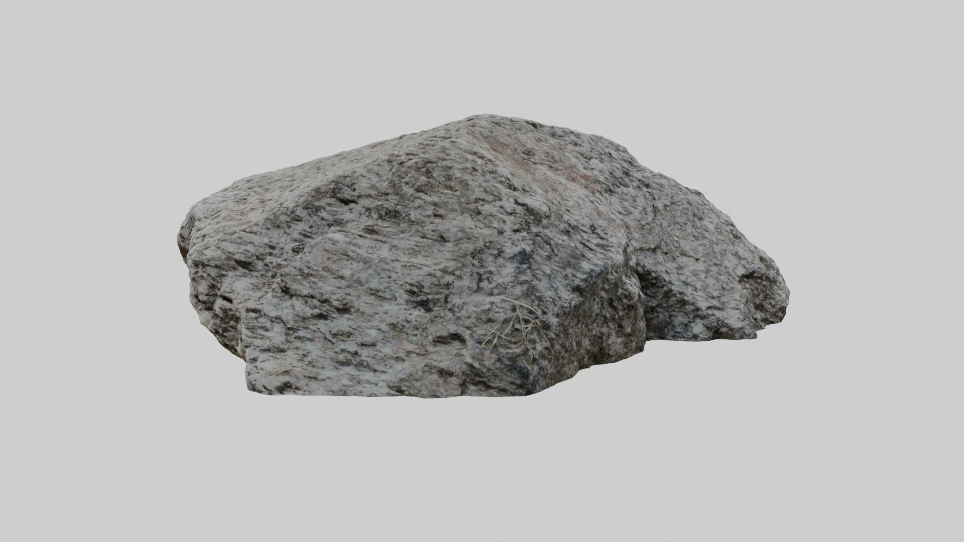Whitish forest stone 3D model_3