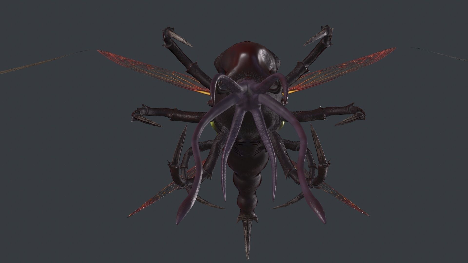 Flying insect remastered Low-poly 3D model_10