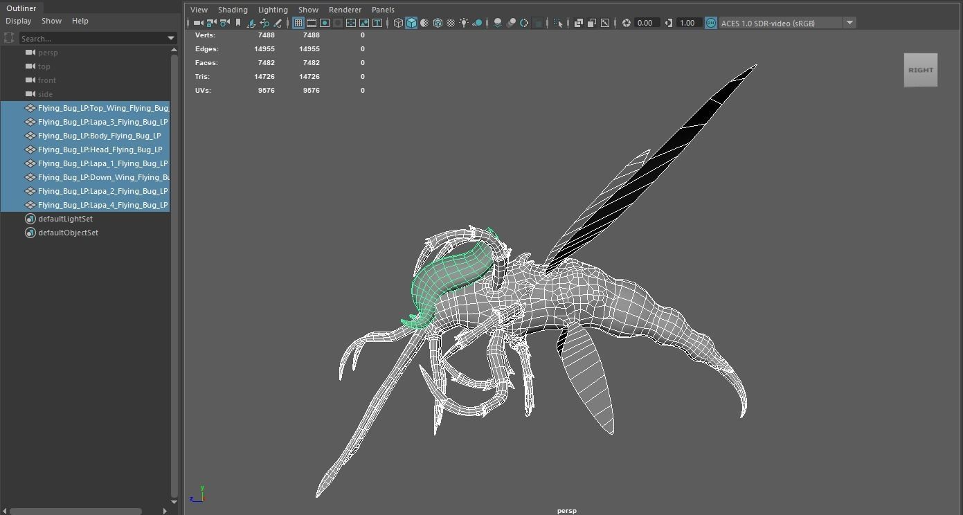 Flying insect remastered Low-poly 3D model_13