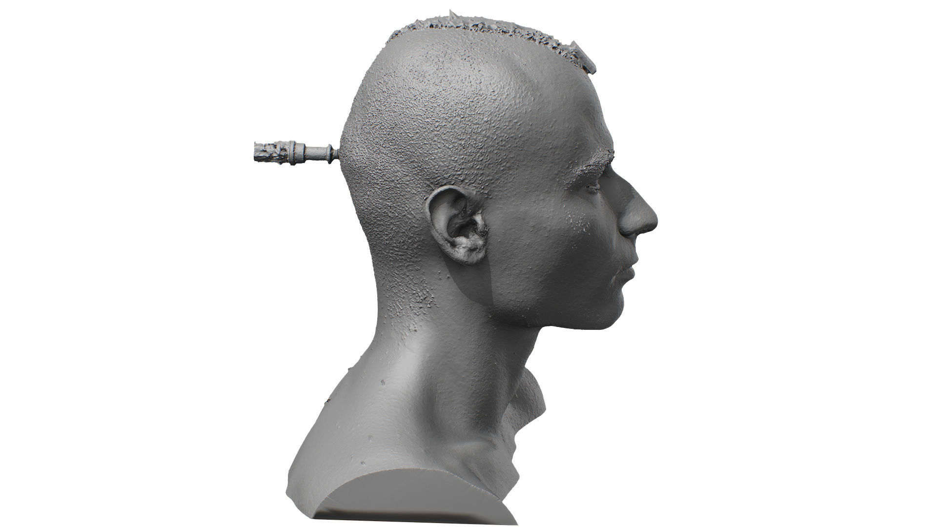 Raw 3D Head Scan Dylan Parker 3D model_8