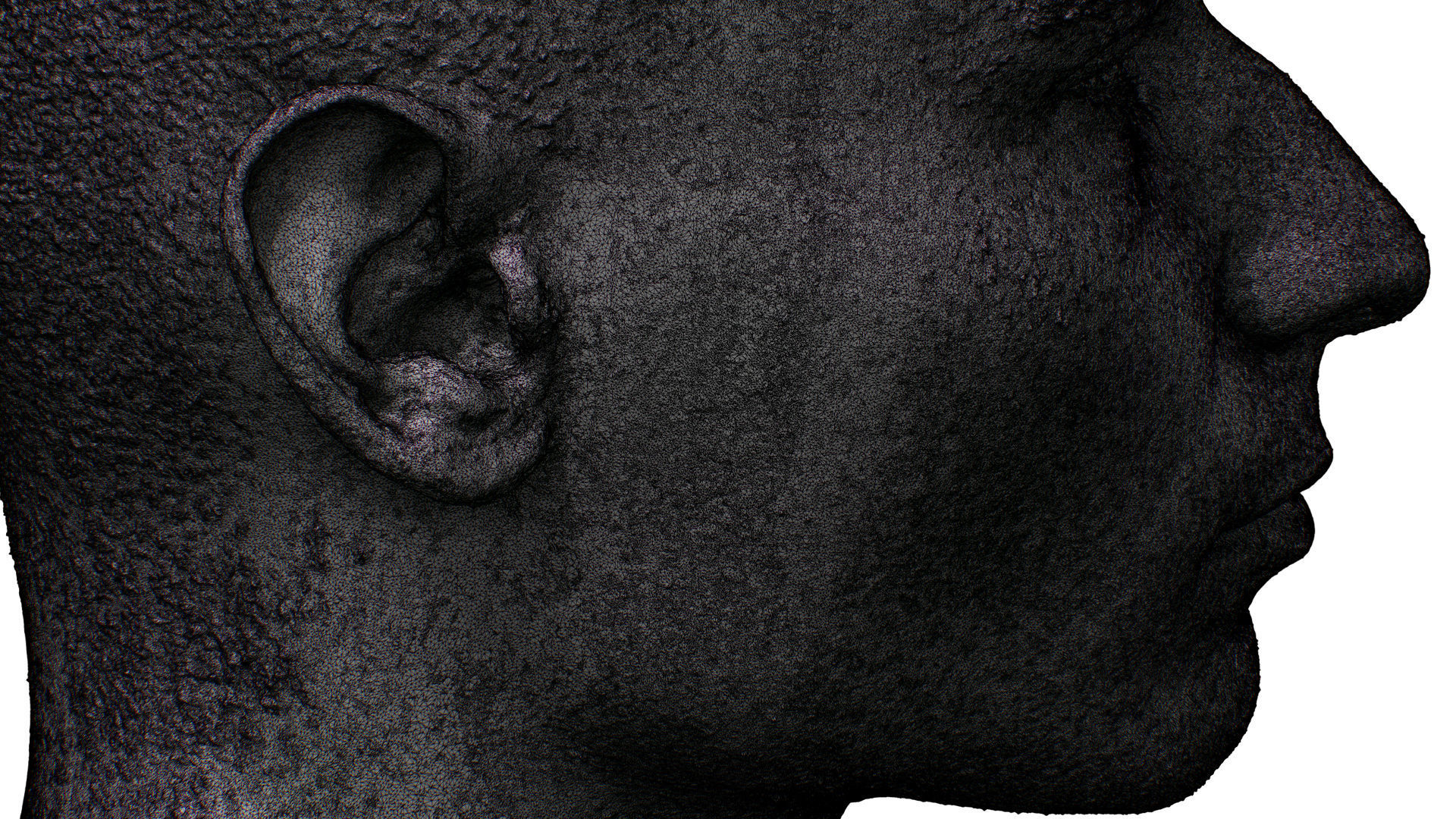 Raw 3D Head Scan Dylan Parker 3D model_14