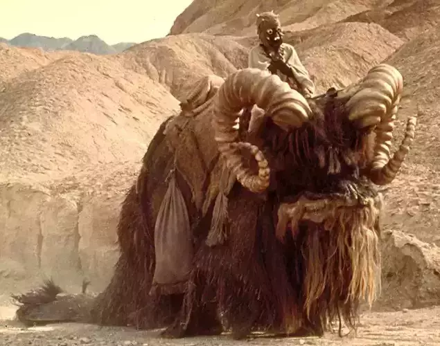 Bantha animal with long hair and horns 3D print model