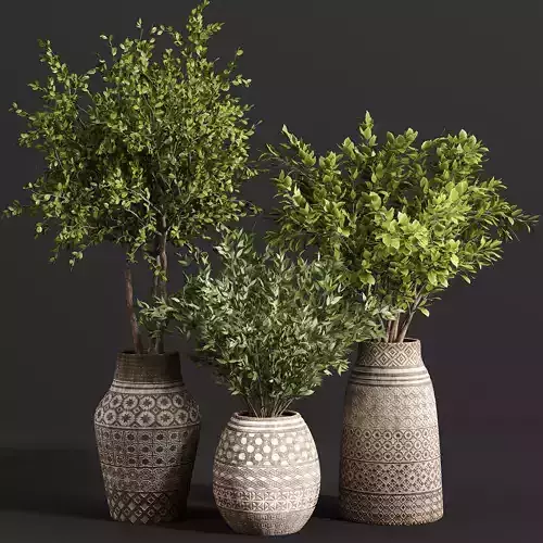 Indoor plant collection 22 3D model