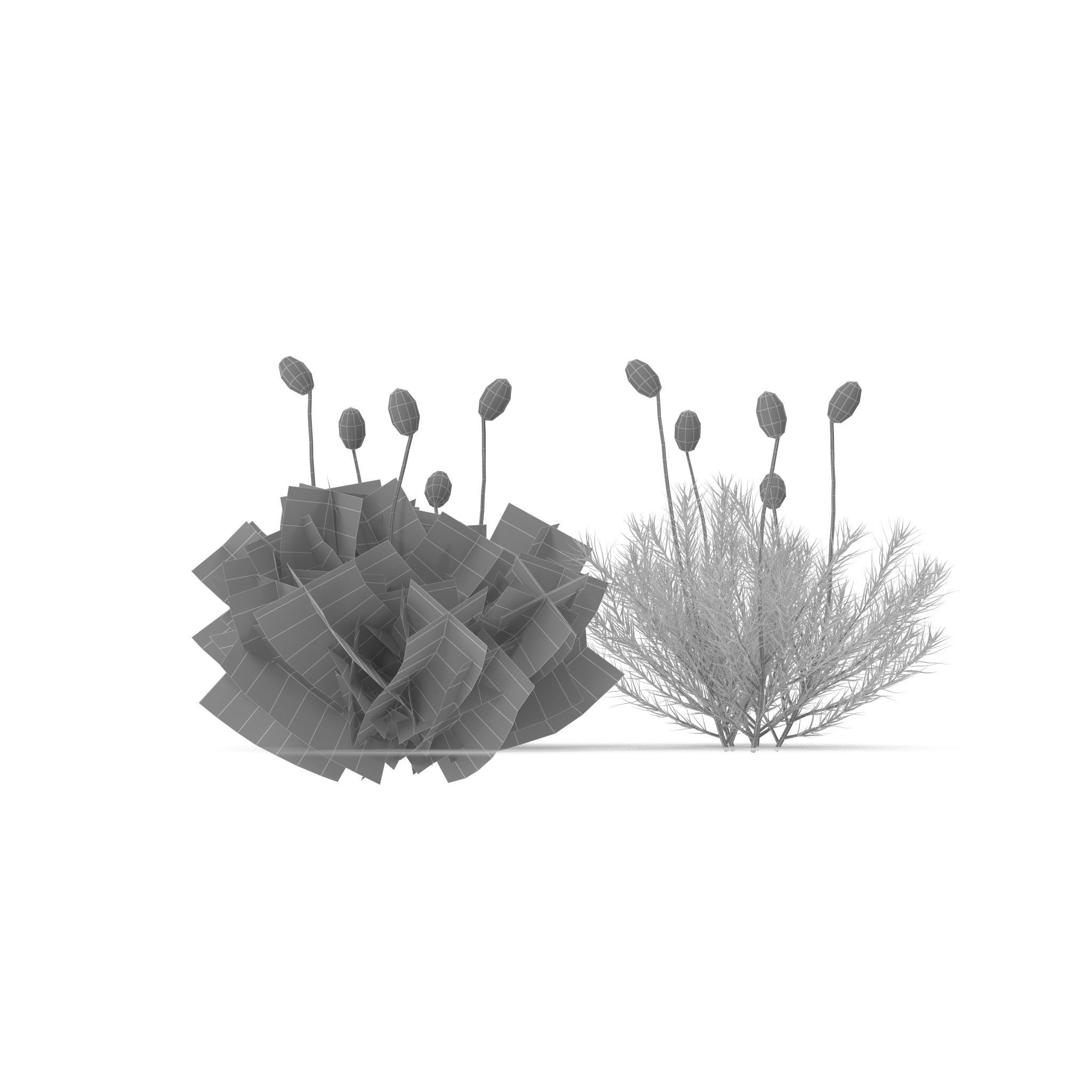 Polytrichum commune Low-poly 3D model_9