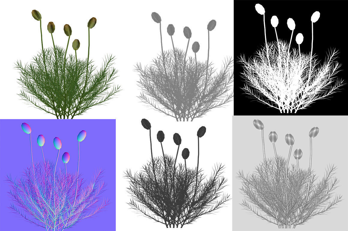 Polytrichum commune Low-poly 3D model_11