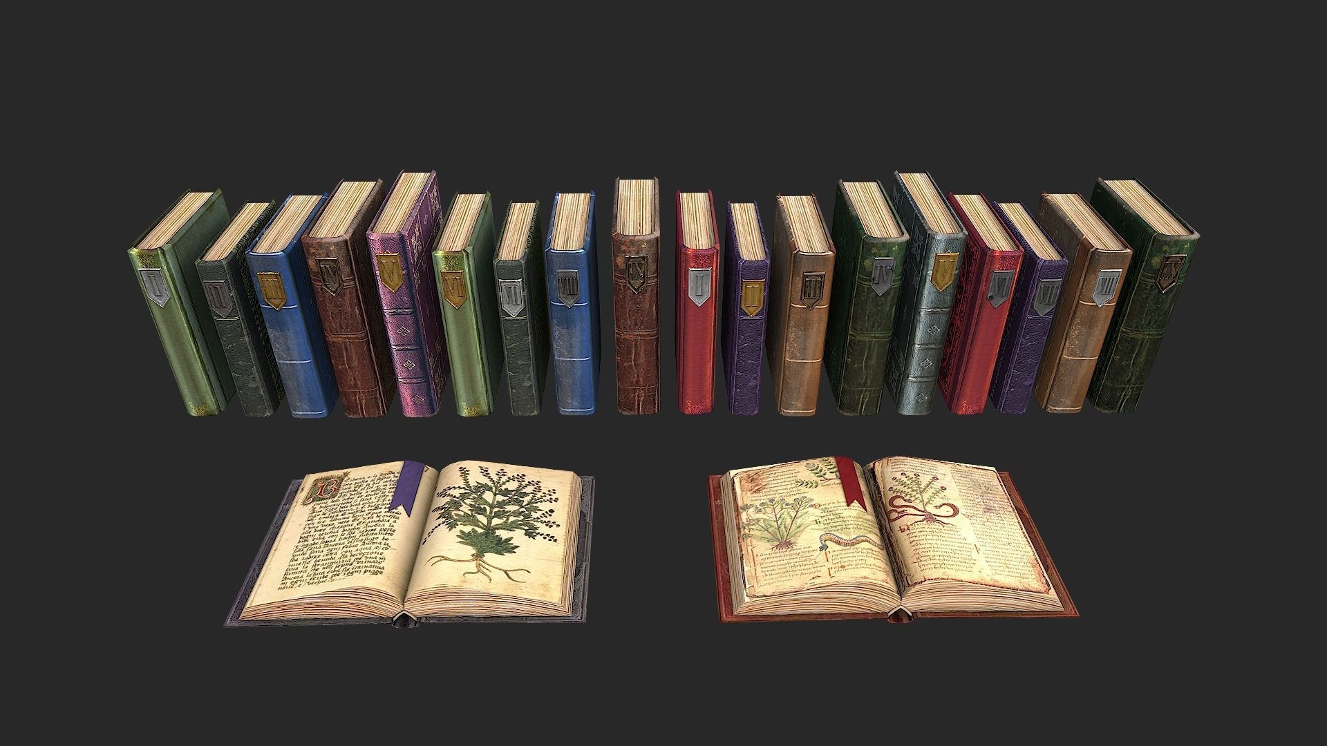 Herbalist Books Set Low-poly 3D model_19