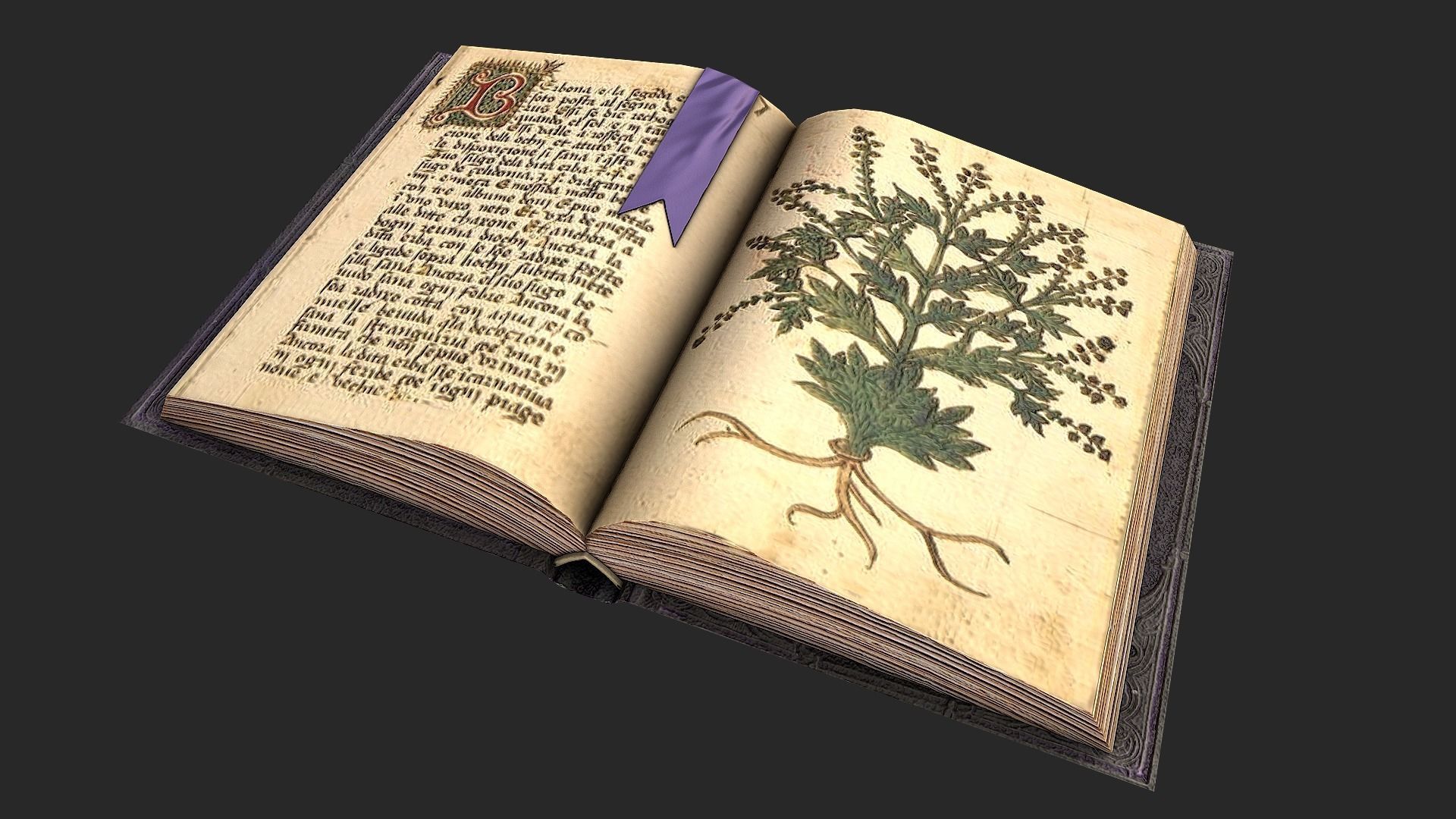 Herbalist Books Set Low-poly 3D model_11
