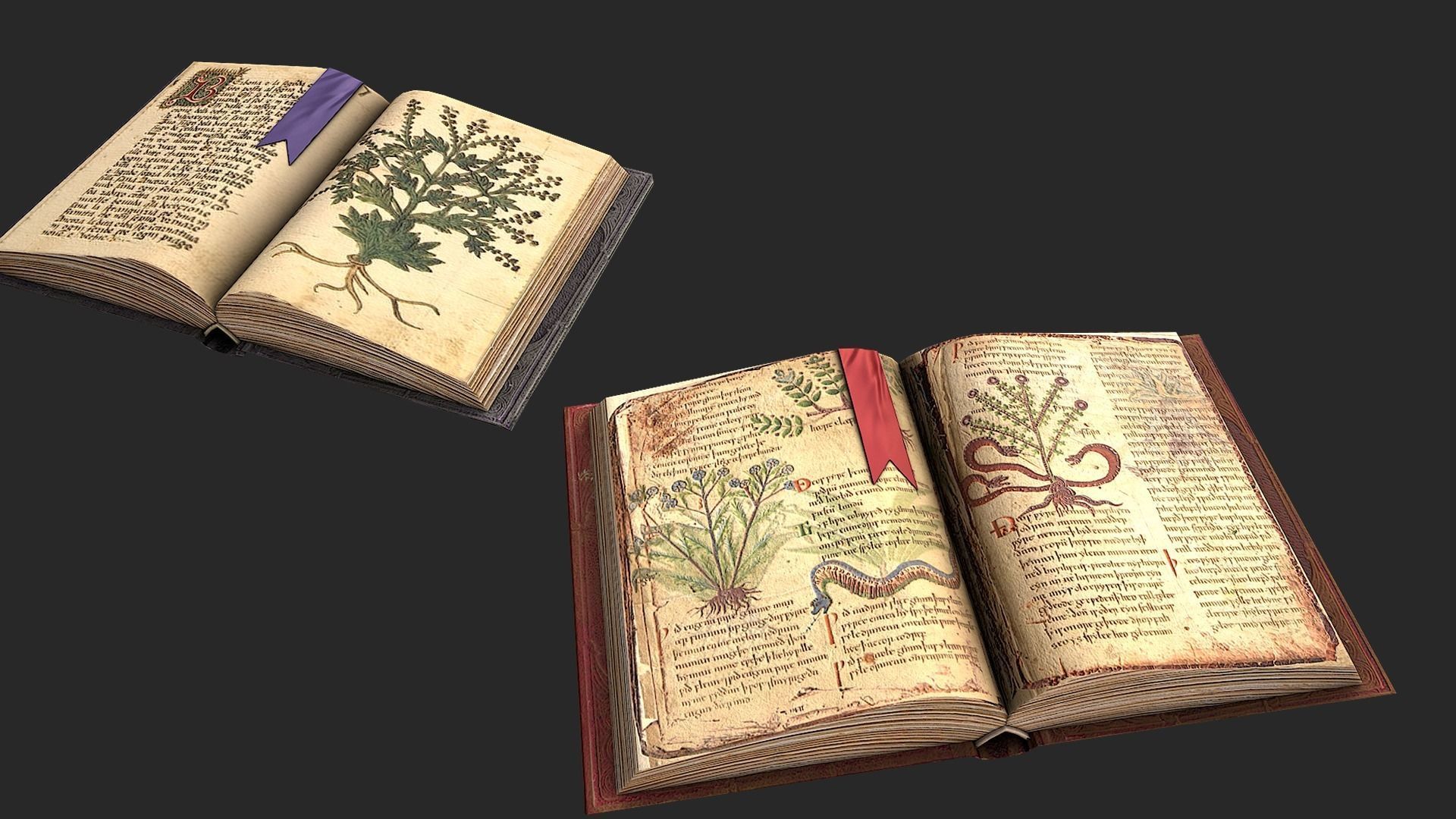 Herbalist Books Set Low-poly 3D model_10
