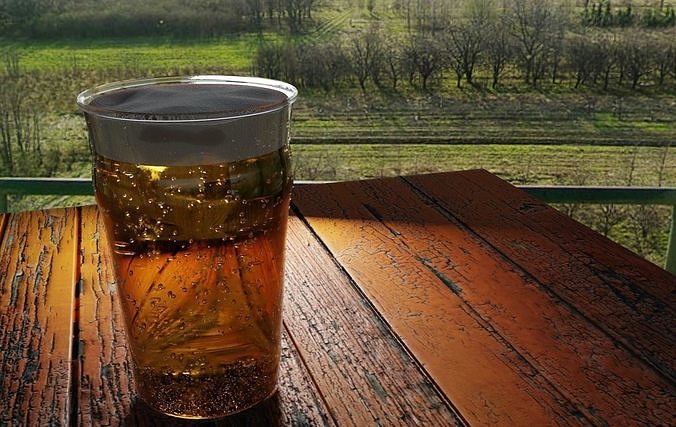 Super Realistic 3D model Beer with textures Free 3D model