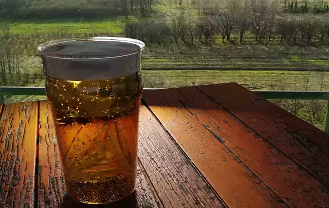 Super Realistic 3D model Beer with textures Free 3D model
