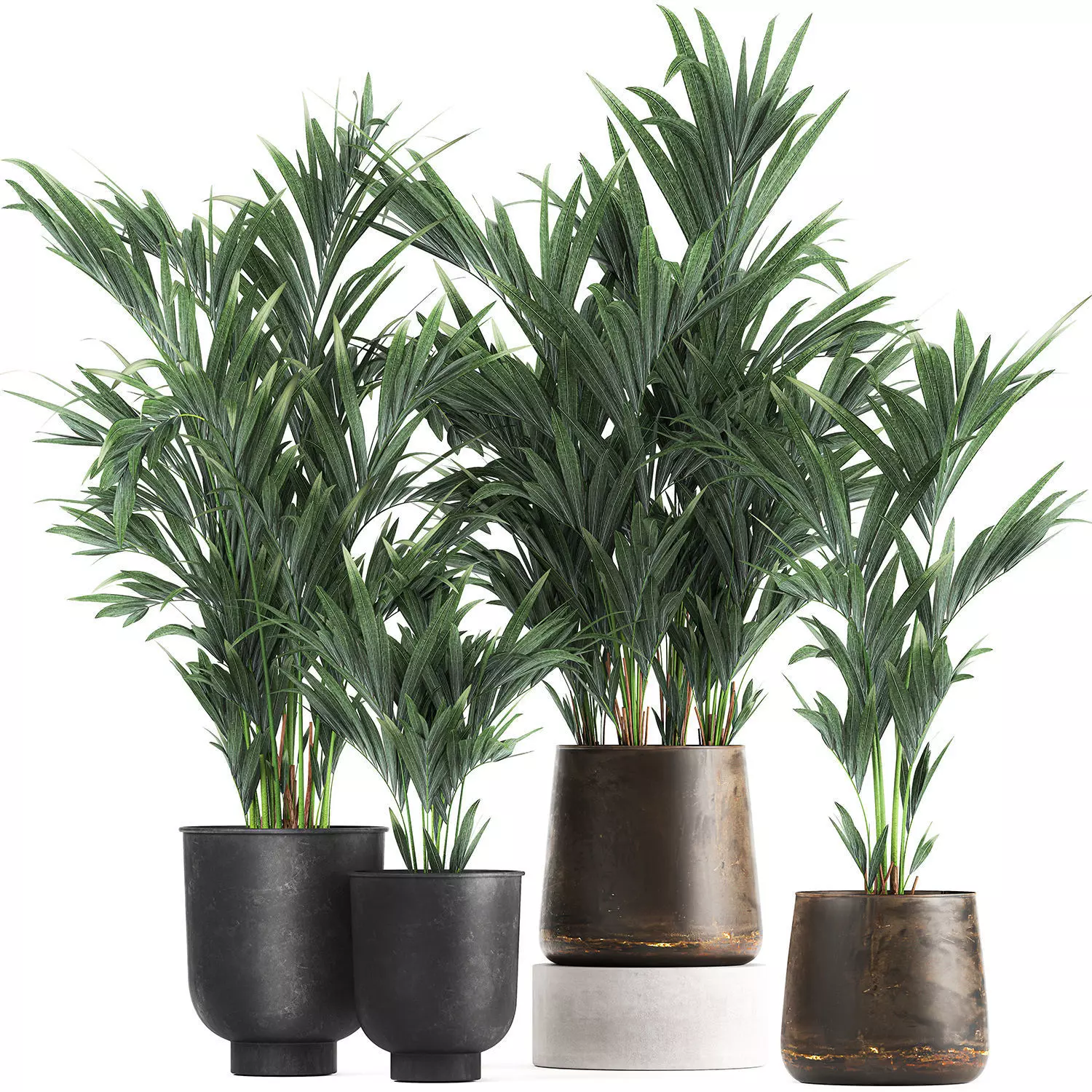 Collection of decorative palms in pots 1090 3D model