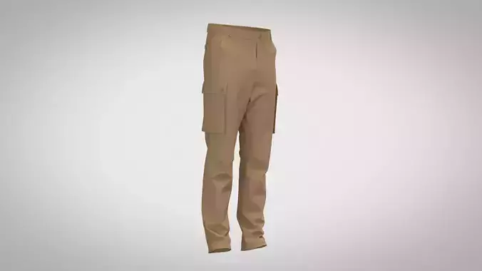 Cargo pants