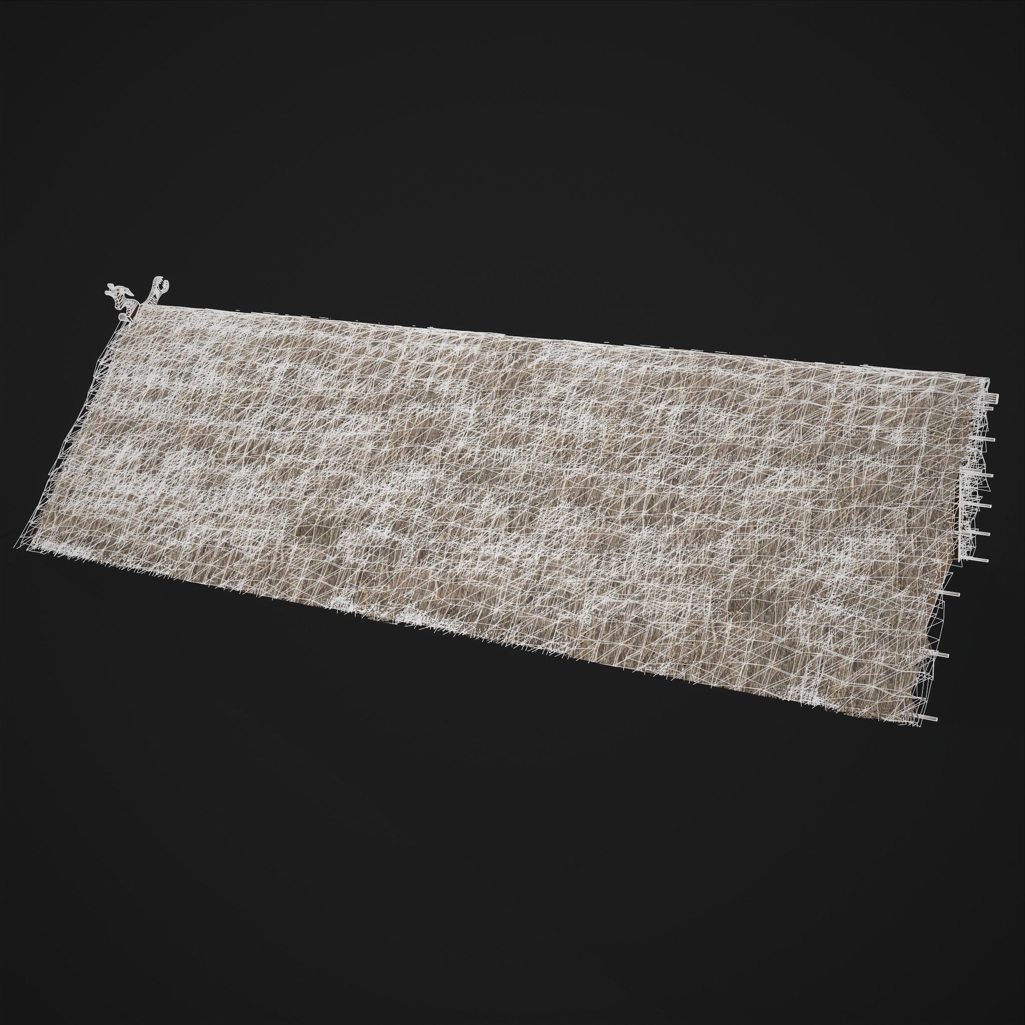 Viking Long House Low-poly 3D model_12