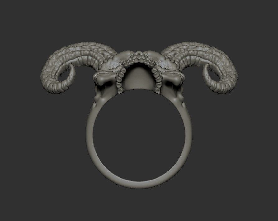 Ring Skull with Horns ztl stl obj 3D print model_43