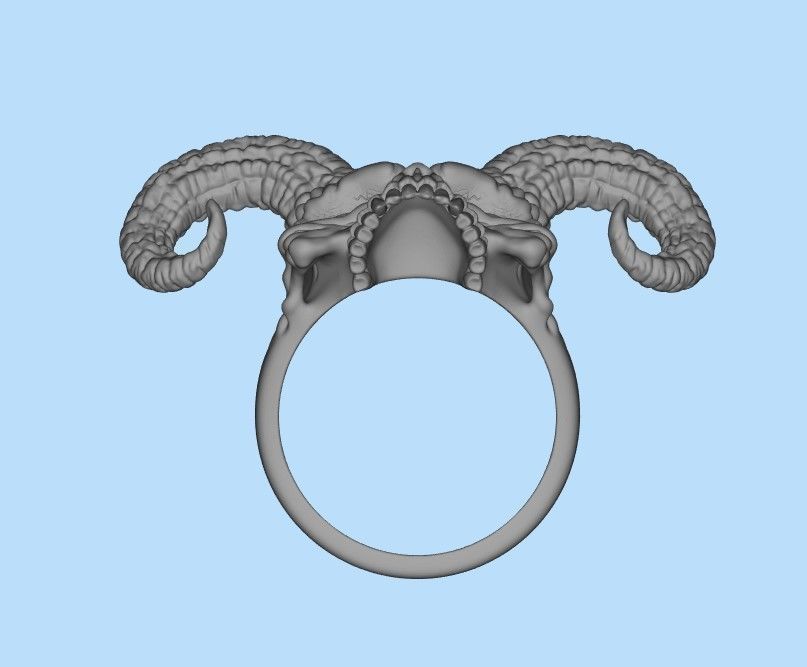Ring Skull with Horns ztl stl obj 3D print model_44