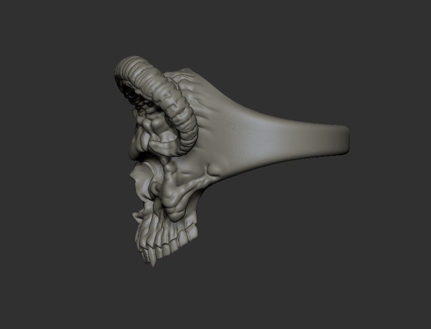 Ring Skull with Horns ztl stl obj 3D print model_17