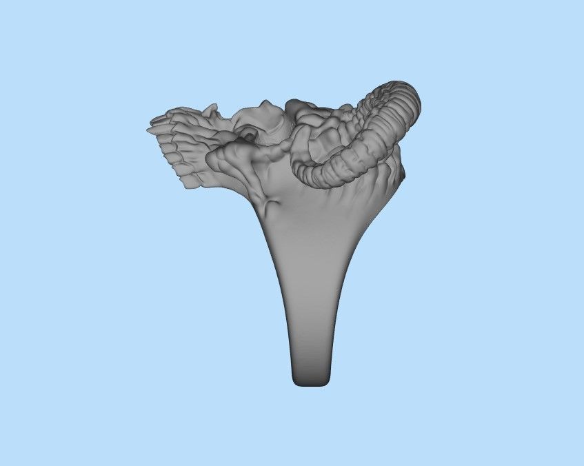 Ring Skull with Horns ztl stl obj 3D print model_42