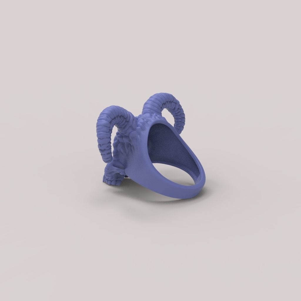 Ring Skull with Horns ztl stl obj 3D print model_22