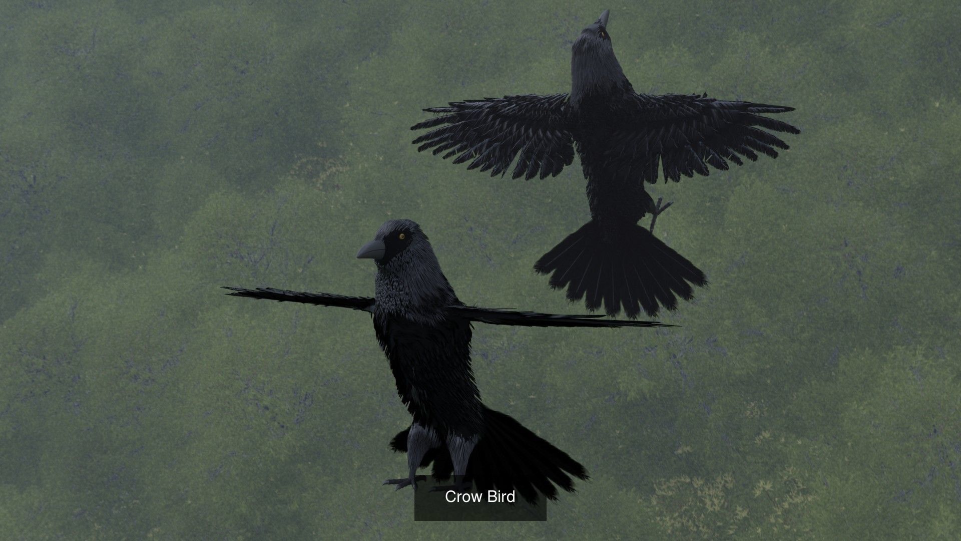 Animals two crows flying in air 3D Model Collection_7