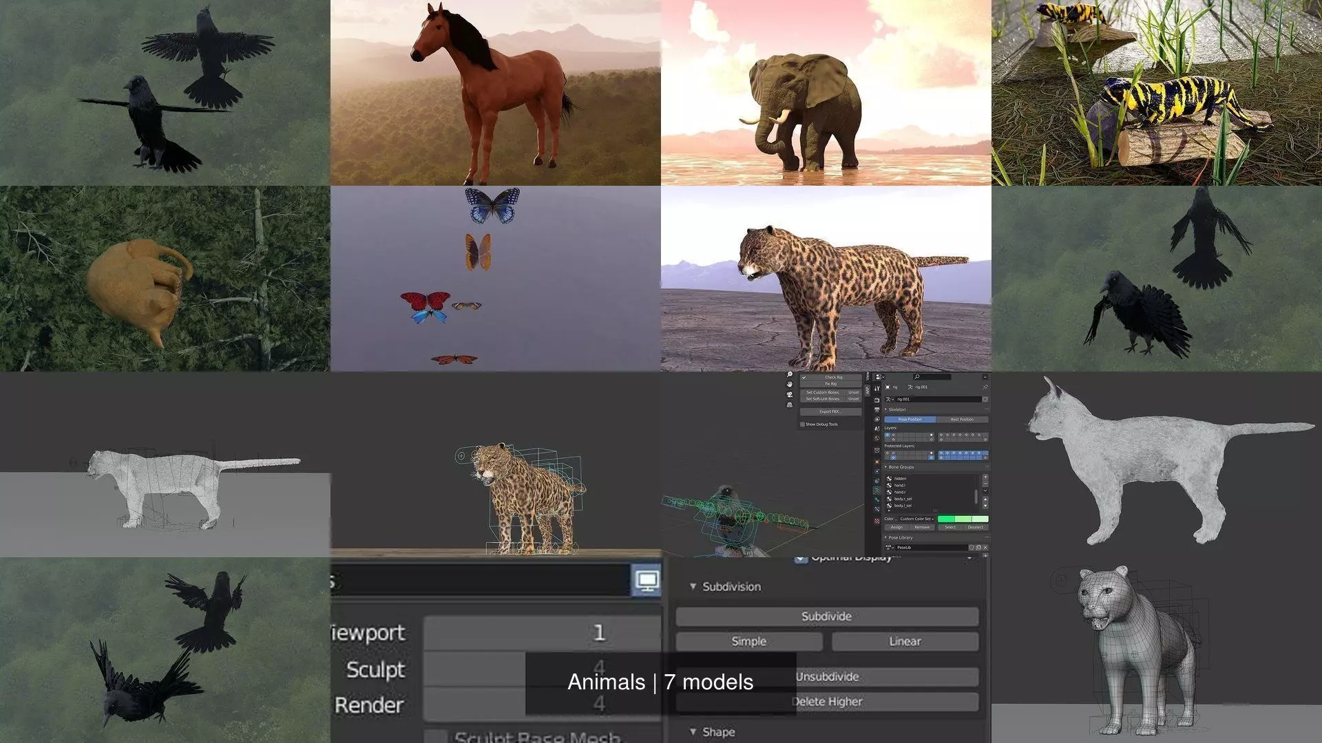 Animals two crows flying in air 3D Model Collection_0