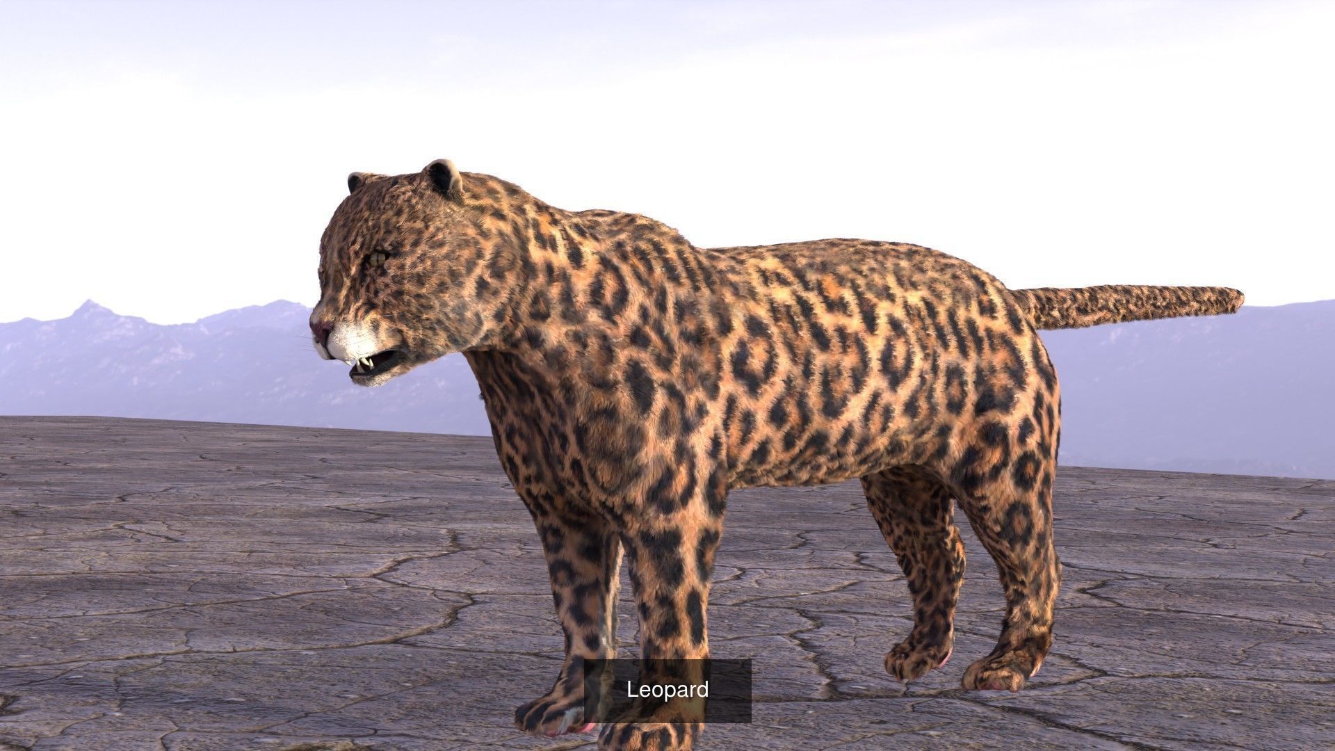 Animals two crows flying in air 3D Model Collection_13