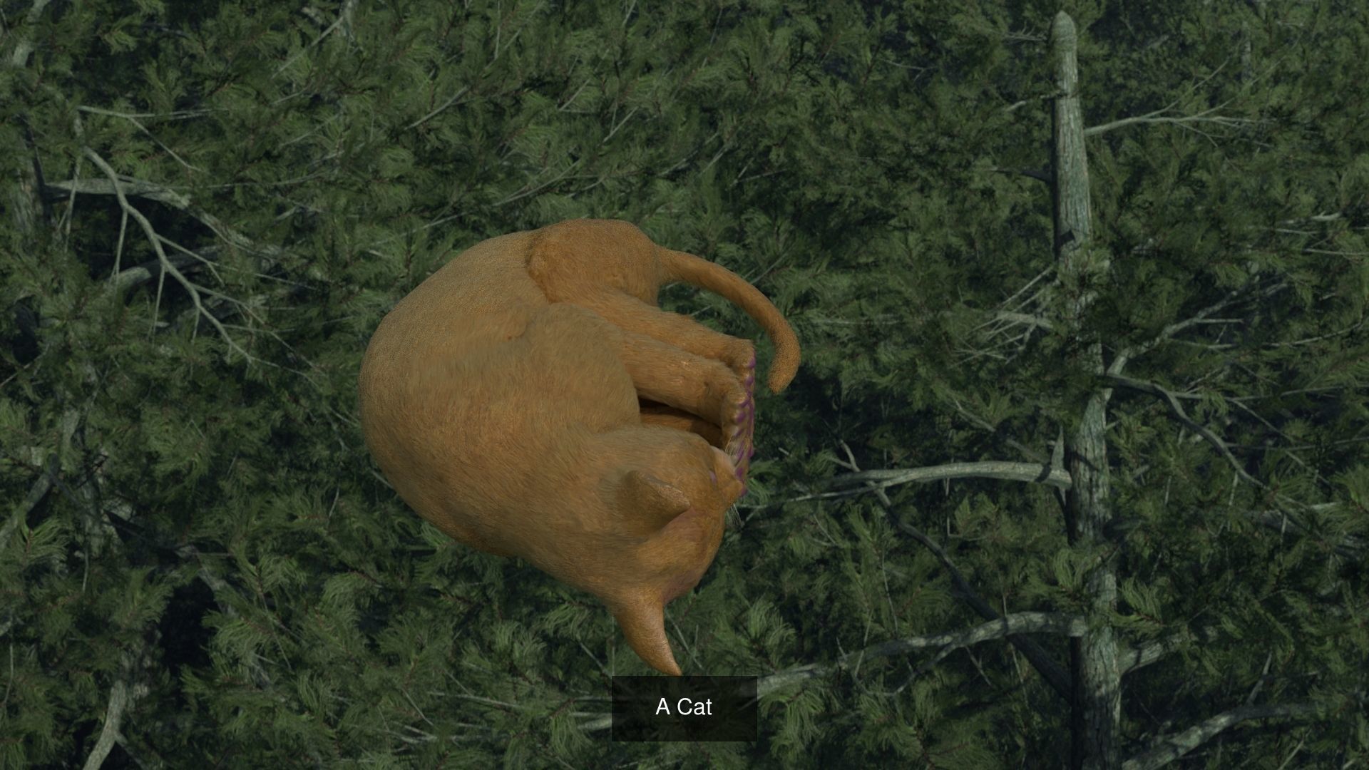 Animals two crows flying in air 3D Model Collection_11