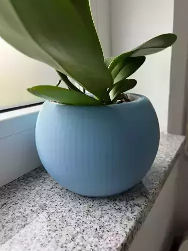 Sphere Plant Pot
