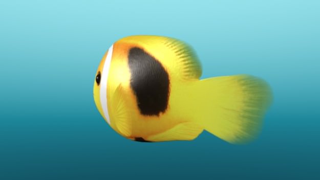 Tropical Fish 3D model_2
