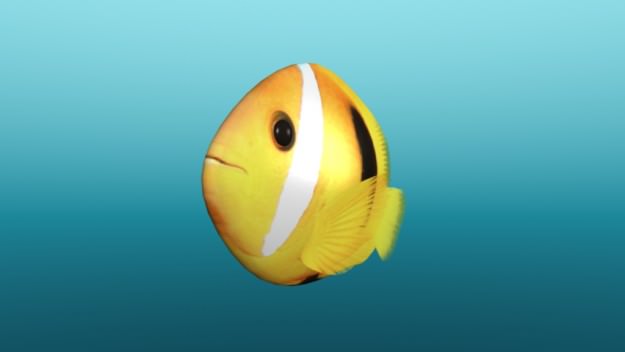 Tropical Fish 3D model_1