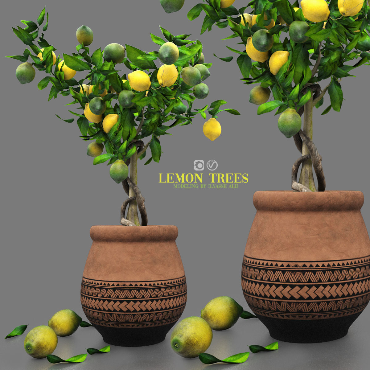 lemon trees 3D model_3