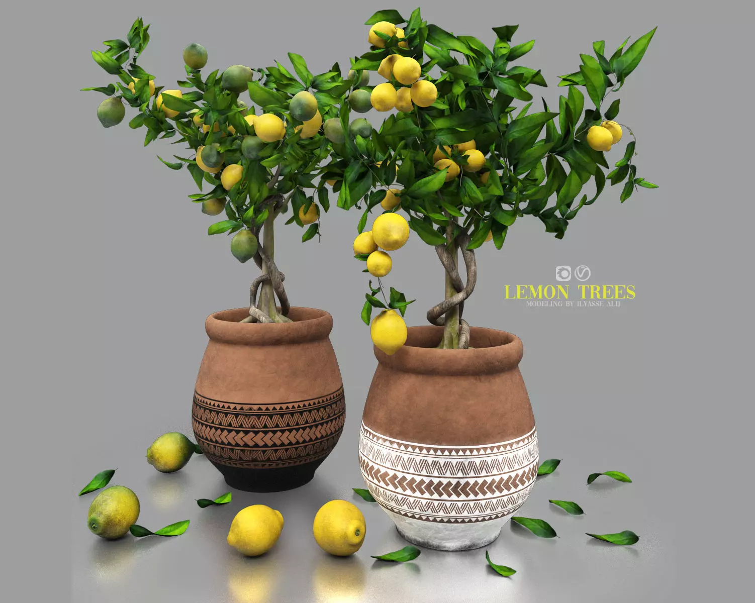 lemon trees 3D model_0