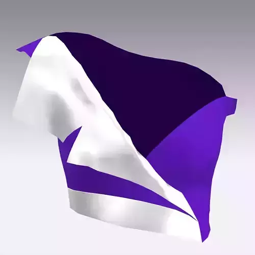 BLOUSE PURPLE AND WHITE LOOK LITTLE BLOUSE